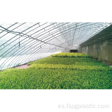Tejido tejido / Geomembrana tejida para la agricultura agrícola 0806